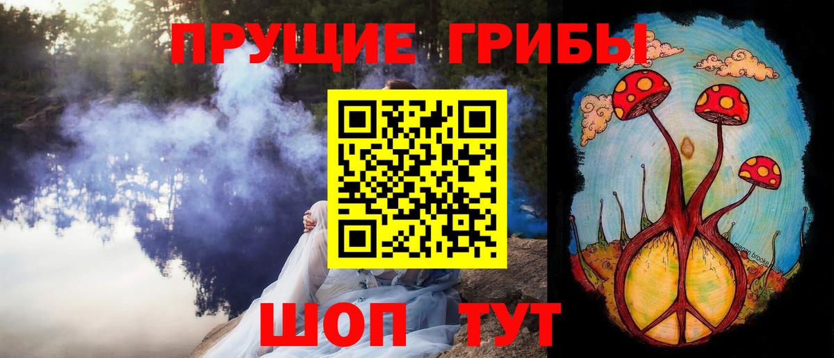 купить   Вход с VPN  Галлюциногенные грибы GOLDEN TEACHER  Владивосток  Галлюциногенные грибы Psilocybe 
