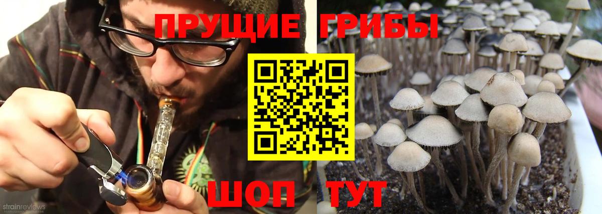 Псилоцибиновые грибы прущие грибы Владивосток
